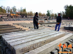 甘州區黑水國遺址保護設施建設加速推進，歷史文化傳承與工程進度并重